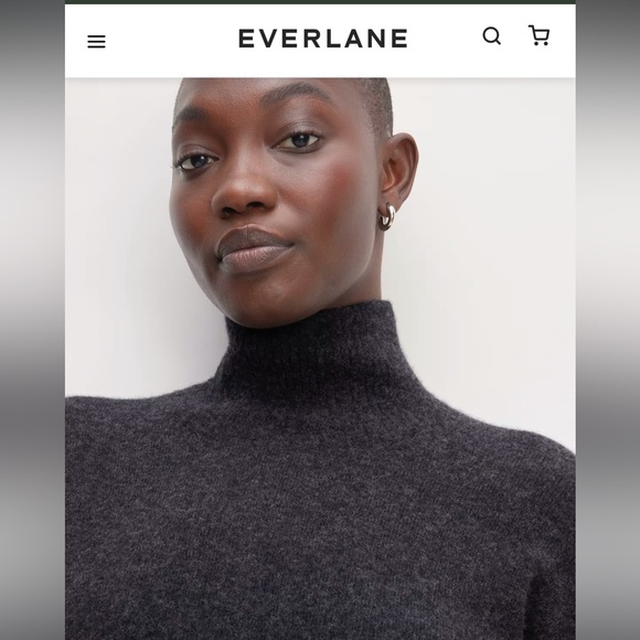 NWOT Everlane The Cozy Stretch Turtleneck Dress - large - Picture 6 of 9